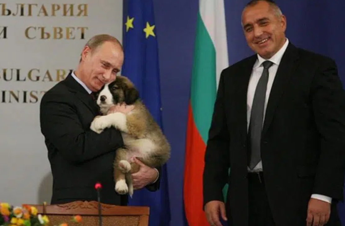 Подписка настоява Борисов да си върне кучето от Путин