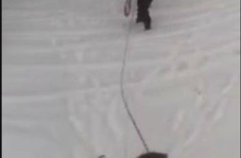 ИЗТЕЧЕ смразяващо видео! Камера е заснела какво точно правят мъртвите рейнджъри, започнали да