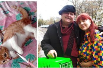 Джина Иванова срещу „Сатаната“: Драма с изчезнало коте и полицейска жалба