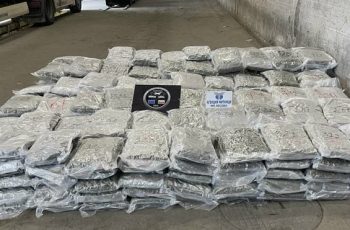 Милионен удар на границата: 363 кг марихуана, скрити в камион с перални