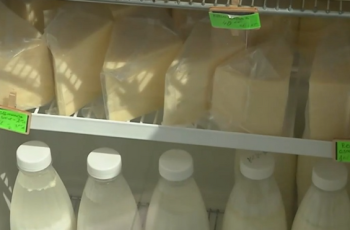 Стоп на опасните млечни продукти: БАБХ затяга контрола върху вноса