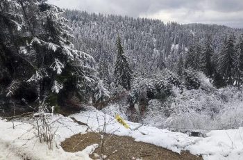 Геолог разкрива шокиращата истина за опасното свлачище край Смолян
