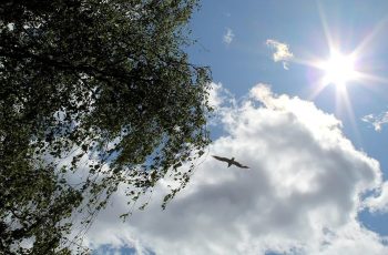 Внимание! Бури, гръмотевици и градушки връхлитат страната – ето кога най-после идва топлото време