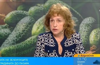 Шокираща криза: Родните плодове и зеленчуци изчезват от пазара, а цените летят в небесата!
